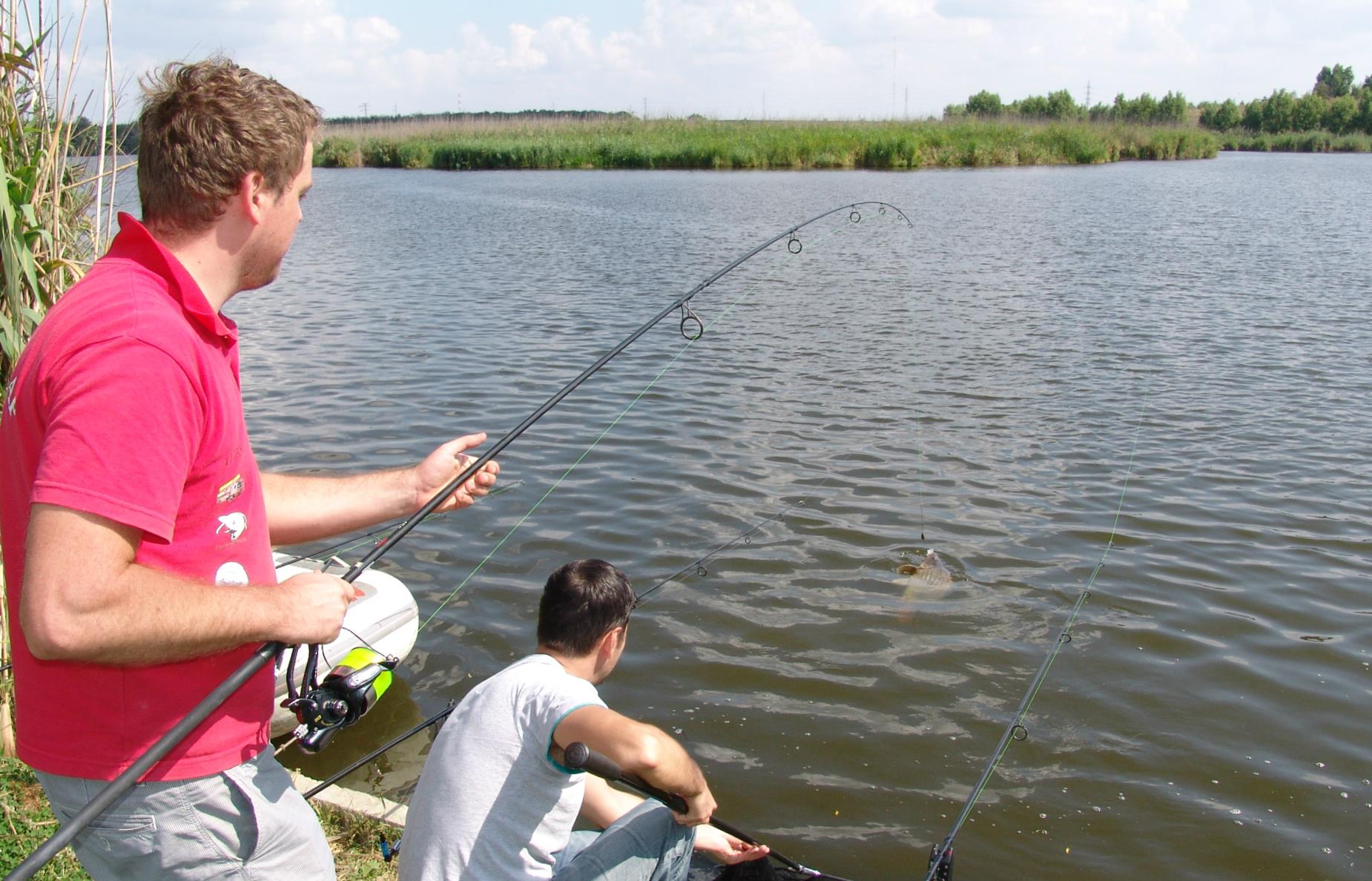 Tancabesti 12 - 14 sep. - 18.jpg